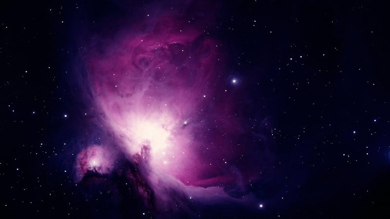 Stellar Gardens